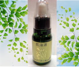 ���i�C���[�W1