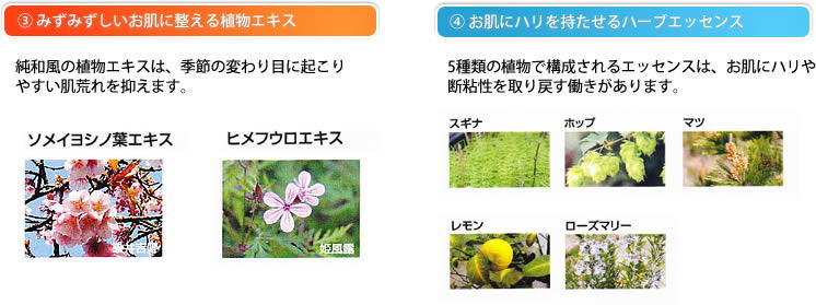 ���i�C���[�W2