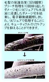 ���i�C���[�W2