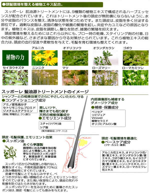 ���i�C���[�W4