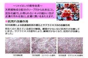 ���i�C���[�W2